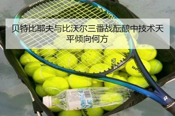 bei-te-bi-ye-fu-yu-bi-wo-er-san-fan-zhan-yun-niang-zhong-ji-shu-tian-ping-qing-xiang-he-fang-2-161.jpg