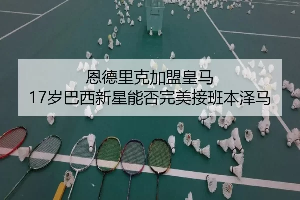 en-de-li-ke-jia-meng-huang-ma-sui-ba-xi-xin-xing-neng-fou-wan-mei-jie-ban-ben-ze-ma-3-539.jpg